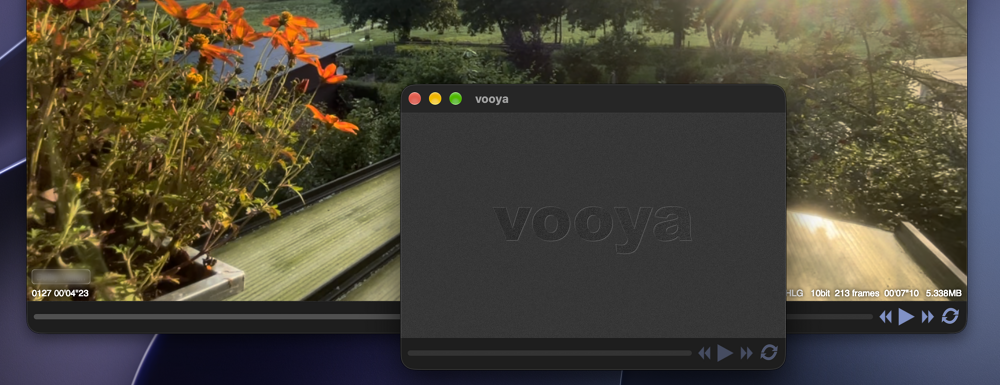 vooya application window